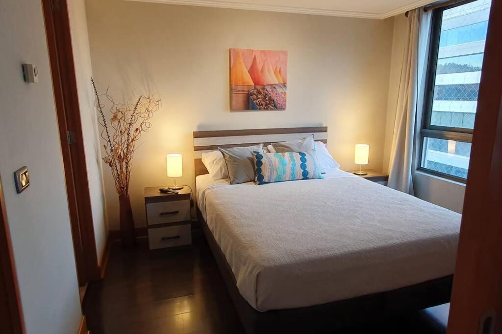Providencia A Pasos Del Metro Pedro De Valdivia Apartamento Santiago